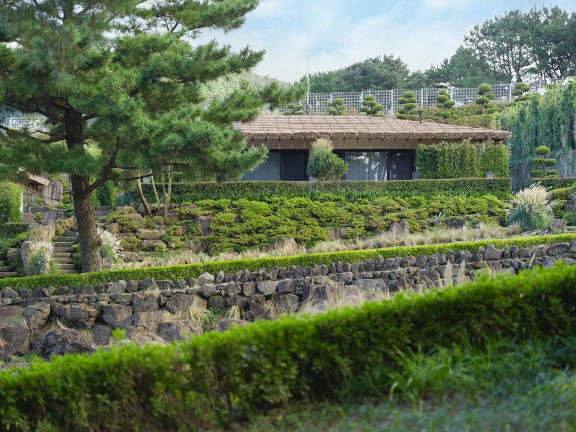 앰버 퓨어 힐 호텔 앤 리조트 제주 외부 사진
